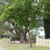 Belgenny Farm, Camden